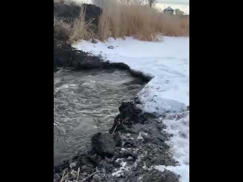 Busting open beaver dams - YouTube