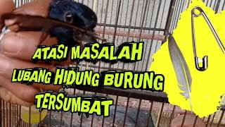 TREAT COLDS AND BLOCKED NOSES