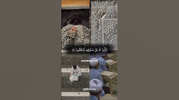 تلاوة هادئة، رسالة لك!؟♡ أكتب شيء تؤجر عليه😪💗 #قرآن#همسات_القرآن #allah #قران_كريم #تلاوة_هادئة