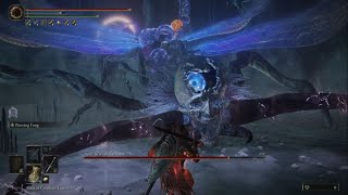 Elden Ring - Astel, Stars of Darkness (Yelough Anix Tunnel) No Damage | Bastard Sword(Piercing Fang)