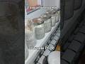 Ежовик Гребенчатый выращивание в условиях квартиры на подоконнике 27.01.2026. Алматы #ежовик