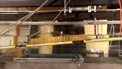 Breaking waves over model vegetation in the EFML