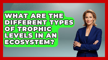 What Are the Different Types of Trophic Levels in an Ecosystem? - Ecosystem Essentials