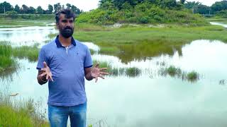 Saving Bangalore, one lake at a time | Anand Malligavad | TEDxIIITBangalore