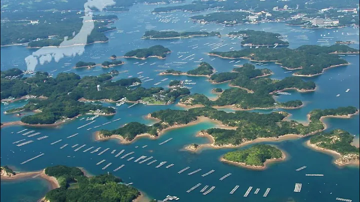How our organic sundried wakame is produced