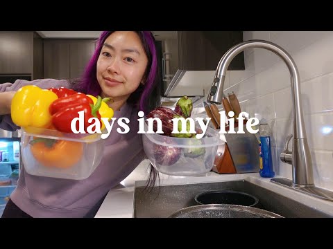 days in my life: back from vegas, packing for japan, grocery shopping ft. lil ray (vlog)