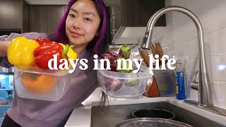 days in my life: back from vegas, packing for japan, grocery shopping ft. lil ray (vlog)