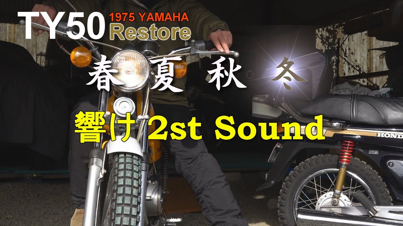 TY50 冬ver - YouTube