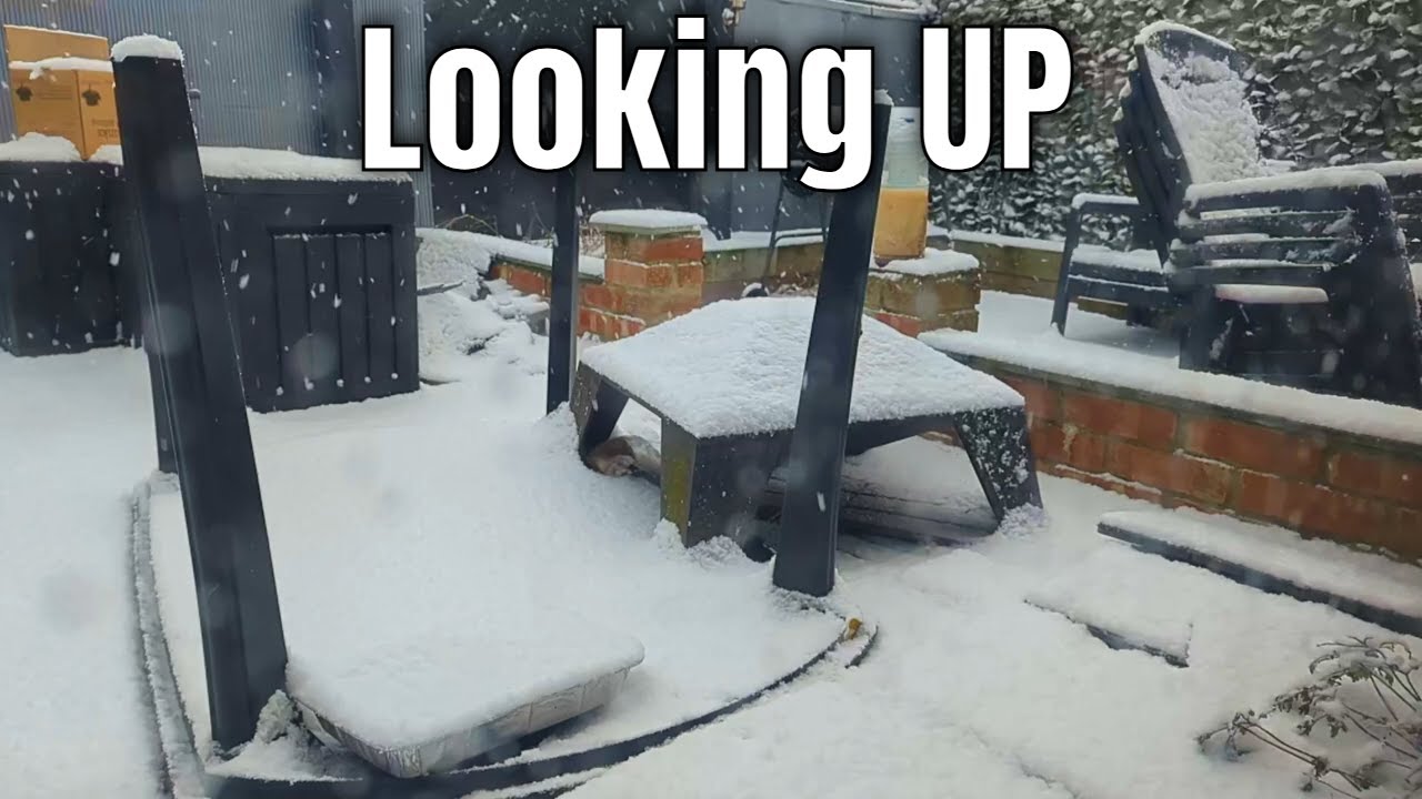 Looking UP - Cloud Gazing Ep615 - Snowfall