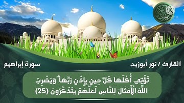سورة إبراهيم برواية حفص عن عاصم بقصر المد المنفصل ( بصوت القارئ / نور أبوزيد )