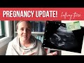 PREGNANCY UPDATE | Halfway there + my first experience with Australia&#39;s healthcare system!