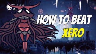 Xero丨 Hollow Knight Beginner BOSS FIGHT