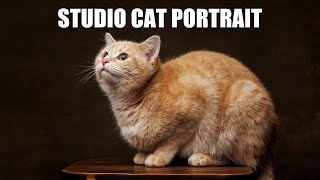 How to Take Photo of a Cat in the Studio Using an Umbrella Light | Canon R5 and 85mm 1.2, Greenville screenshot 5