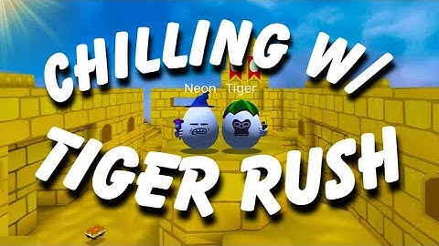 chilling with @tigerrush9509  in shell shockers