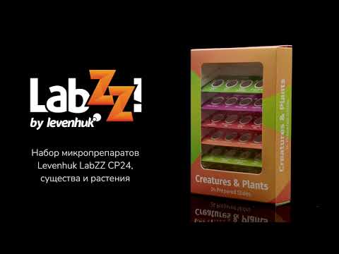 Видео: Набор микропрепаратов Levenhuk LabZZ CP24, существа и растения