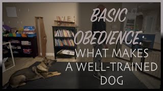 Basic Obedience:  What Makes a Well-Trained Dog