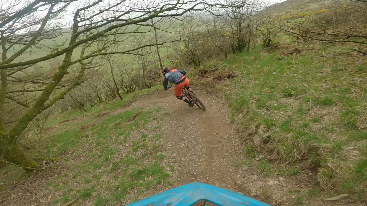 Setmurthy, Setters, Minileathern what ever you call it . Its a Blast !