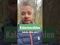 Kalorienzählen