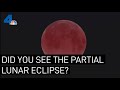 Did You See the November 2021 Partial Lunar Eclipse? | NBCLA