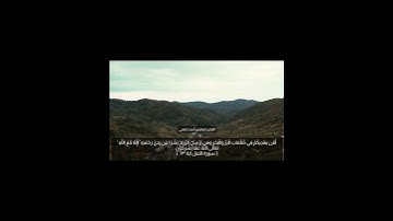 تلاوة فاقت الوصف من سورة النمل❤