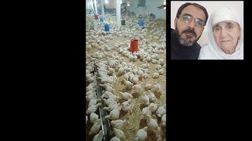 (لا يكلف الله نفسا الا وسعها) تلاوة خاشعة للقارئ #عبدالعزيز_سحيم
