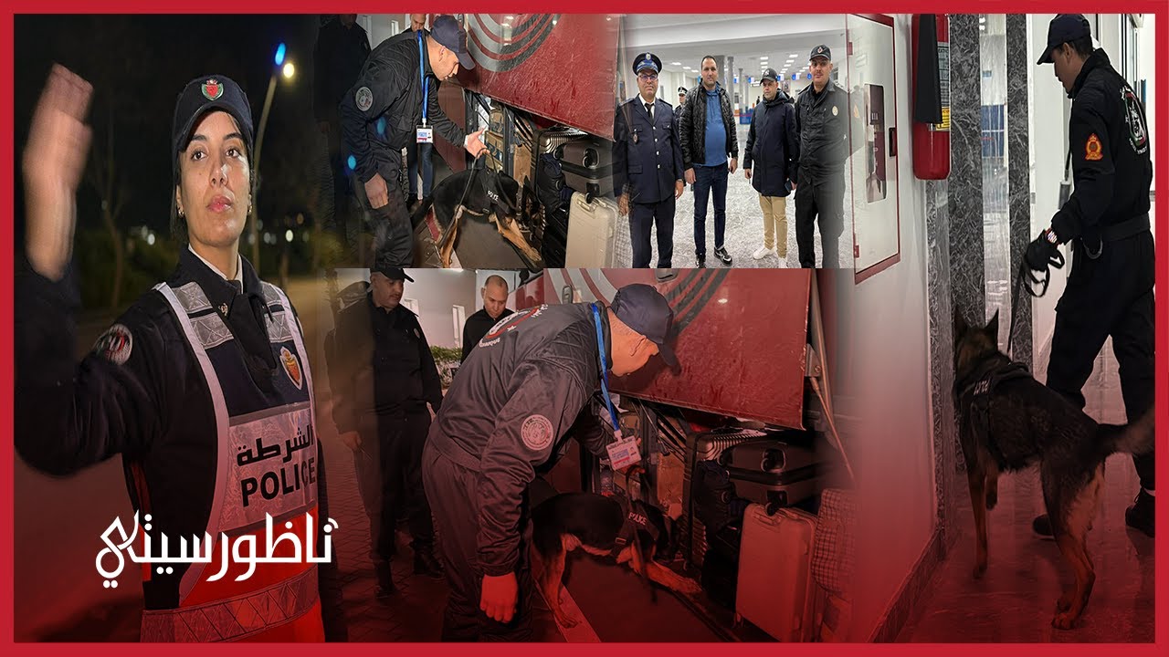 استنفار أمني محكم بالناظور ليلة رأس السنة… كلاب بوليسية وسدود قضائية لتأمين المدينة ومحطات المسافرين