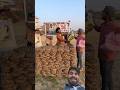 गोबर के थेपले #comedyfunny #comedy #comedymove #comedyfilms