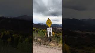 Details A Scenic Drive Outside Aspen, Colorado  Fall Colors & Mountain View’s News