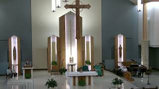 Career Overview Fifteenth Sunday in Ordinary Time Holy Trinity Parish Fort Dodge
