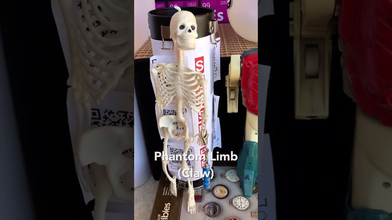 Phantom Limb (Claw) - 