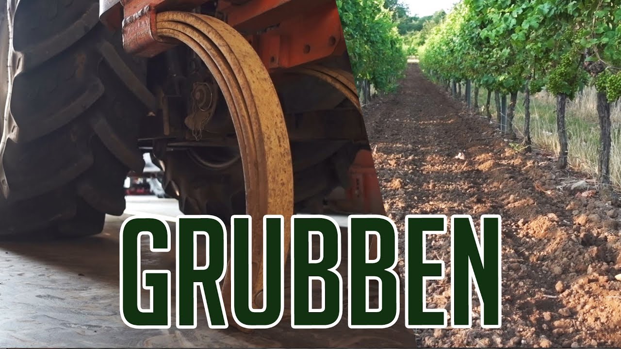 BODENBEARBEITUNG | Das Hasenloch 😱 | Weinbau/Wein | Grubben/Grubbern