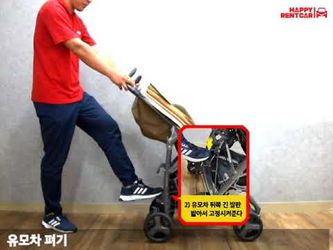 잉글레시나 지피 사용법