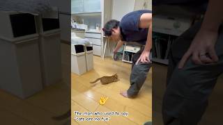 The man who used to say “cats are no fun” 猫ってつまんないよ、って言っていたヒトの今 #保護猫 #cat #redtabbycat #茶トラ