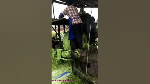 Decorticator Raspador Making Machine/Coco Coir Production Manufacturing Processing Machines