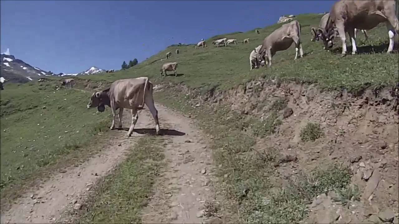 MTB Trailtour Wallis Tag 5 Ernen Saflischpass Brig