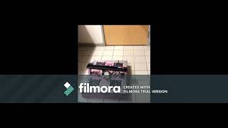 UNR ENGR 100 Final Video