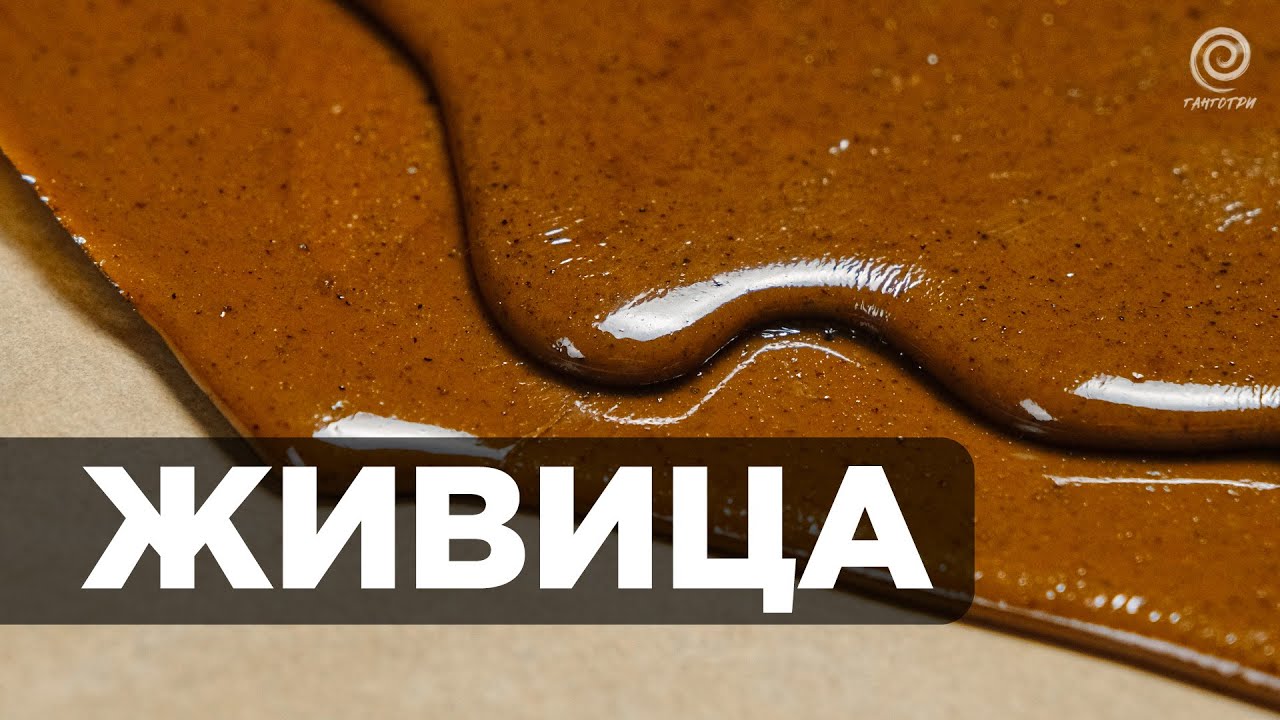 Что такое Живица? Наши смолы