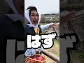 【放送事故寸前】京風の中の「りんご花まつり」の告知！