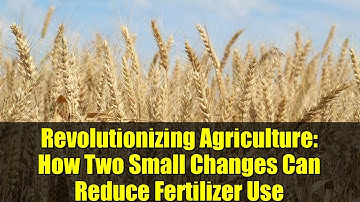Revolutionizing Agriculture: How Two Small Changes Can Reduce Fertilizer Use