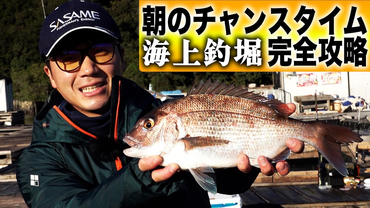 【海上釣堀】朝のチャンスタイムを誰よりも大漁に釣る方法