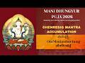 Day 15 1 Amitabha Puja 43rd Mani Dhungdrub Puja 2026 Live Streaming From Manang Samaj Gumba