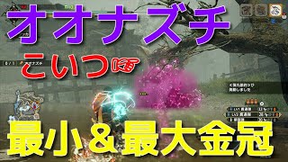 Mhrise オオナズチ最小最大金冠 2159 09 27 モンハンライズ Youtube