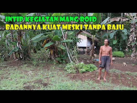 Intip Kegiatan Sang Penunggu Hutan, Bertani Ala Orang Tua Jaman Dahulu.