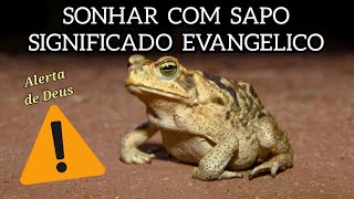 O que significa sonhar com sapo? Significado Evangélico