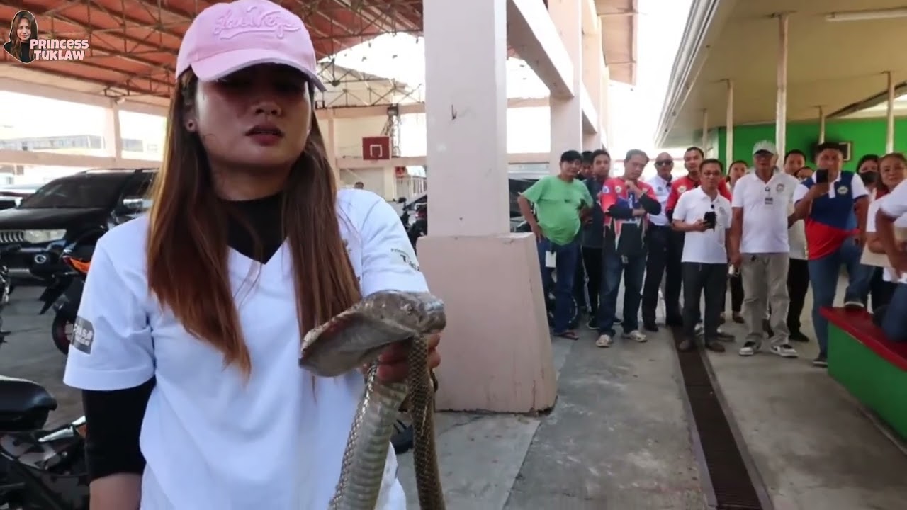 MABILISANG SNAKE RESCUE SA MUNISIPYO NG PANIQUI TARLAC 