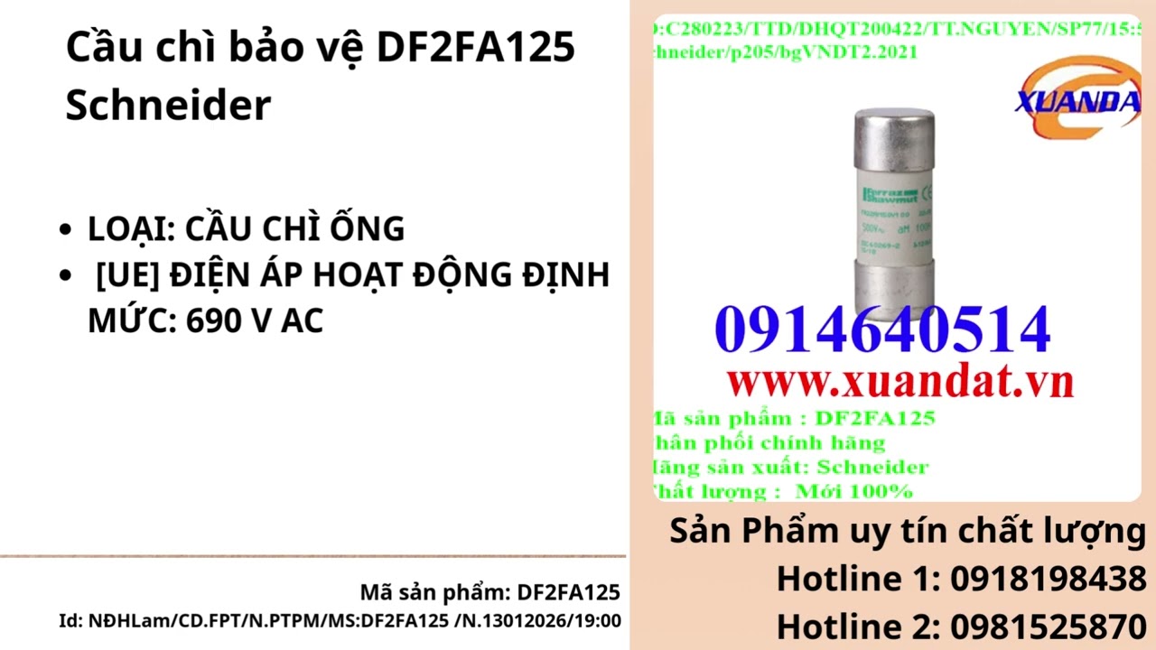 Cầu chì bảo vệ DF2FA125 Schneider CDFPT NĐHLam 13 1 26 19h00