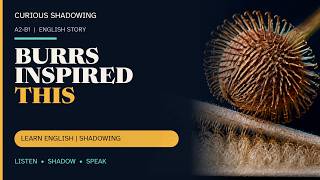 How Hook-and-Loop Fasteners Were Invented | English Shadowing (A2-B1)