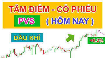 Tâm điểm cổ phiếu dầu khí PVS tăng mạnh