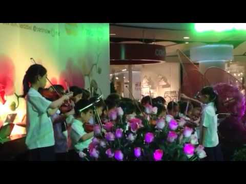 การแสดงไวโอลิน สาธิตเกษตร
