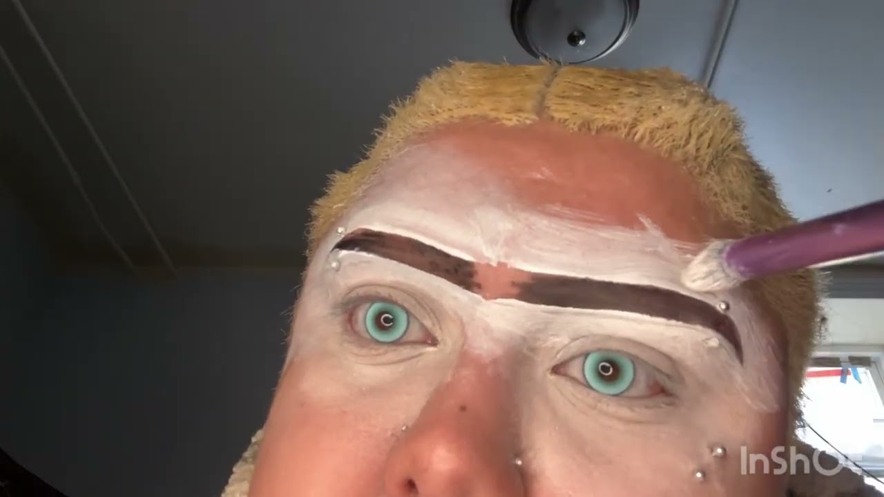 My Everyday Eyebrows